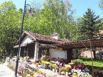 Realizacje Super Standard Bud